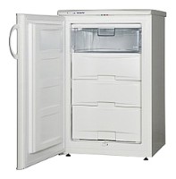 Snaige F100-1101АА Tủ lạnh ảnh