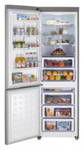 Samsung RL-55 VJBIH Холодильник фото
