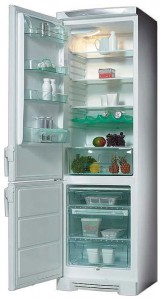 Electrolux ERB 4119 Refrigerator larawan