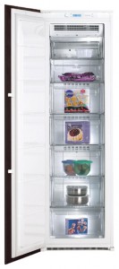 De Dietrich DFS 920 JE Fridge Photo