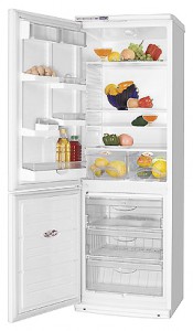 ATLANT ХМ 6019-037 Холодильник Фото