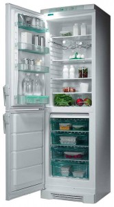 Electrolux ERB 3106 Tủ lạnh ảnh
