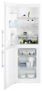 Electrolux EN 3201 MOW Refrigerator larawan