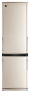 Sharp SJ-WP371TBE Холодильник Фото