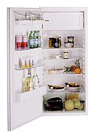Kuppersbusch IKE 237-5-2 T Холодильник Фото