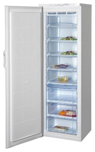 BEKO FN 129920 Холодильник Фото