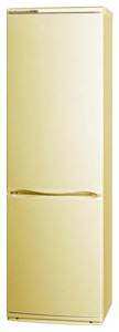 ATLANT ХМ 6026-081 Refrigerator larawan