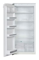Kuppersbusch IKE 248-6 Холодильник Фото