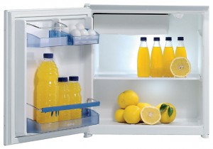 Gorenje RBI 4098 W Холодильник фото