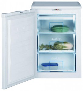 BEKO FNE 1070 Refrigerator larawan