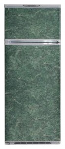 Exqvisit 233-1-C9/1 Refrigerator larawan