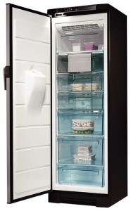 Electrolux EUFG 2900 X Холодильник фото