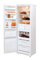 NORD 184-7-121 Холодильник Фото