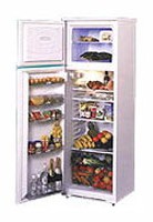 NORD 244-6-330 Холодильник Фото