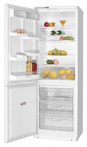 ATLANT ХМ 5010-000 Tủ lạnh ảnh