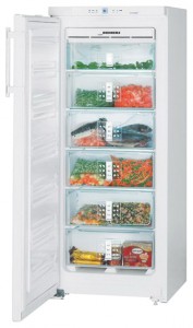 Liebherr GNP 2356 Tủ lạnh ảnh