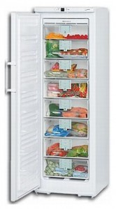 Liebherr GN 28530 Холодильник Фото