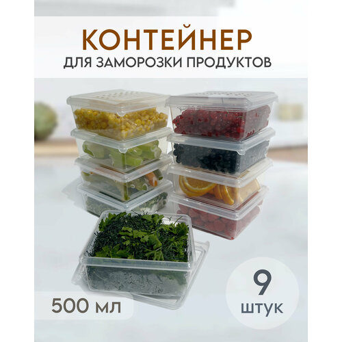 Комплект емкостей пластиковых контейнеров для хранения и заморозки продуктов, объем 500 мл, 9 шт. фото