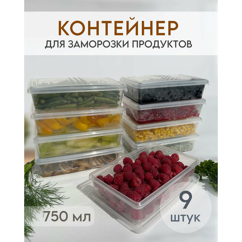 Комплект емкостей контейнеров для заморозки и хранения продуктов, объем 750 мл, 9 шт. фото