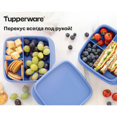 Контейнер с разделителем 550 мл Tupperware фото