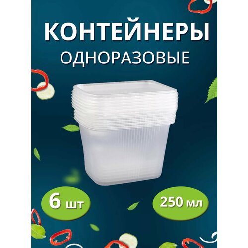 Контейнер одноразовый с крышкой 6шт 250мл фото