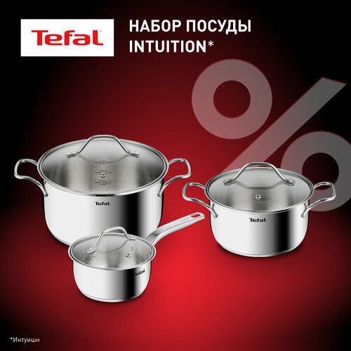 Набор посуды Tefal Intuition 6 предметов 1,3/2,9/5л 16/20/24см B864S674 фото