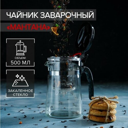 Чайник стеклянный заварочный Magistro «Мантана», 500 мл, с пластиковым ситом фото