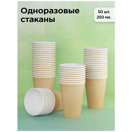 Набор одноразовых бумажных стаканов, 250 мл фото