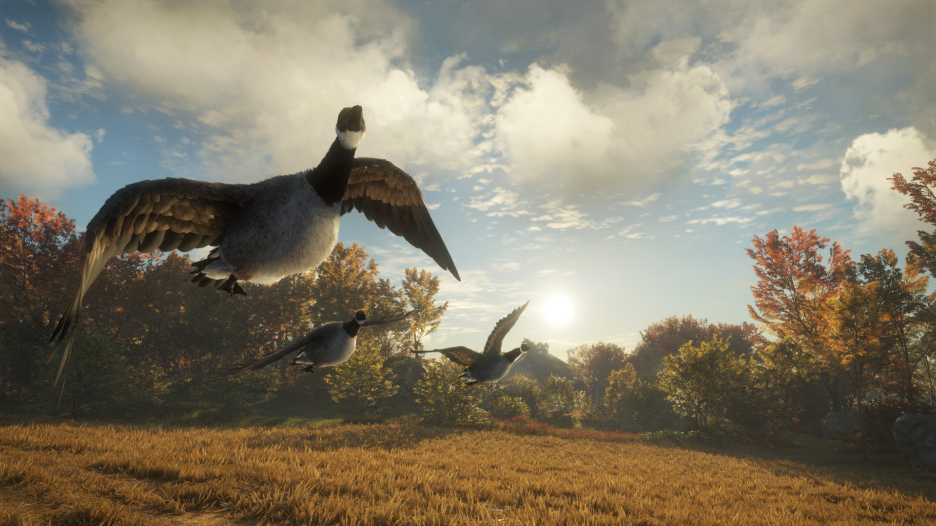 theHunter: Call of the Wild - Wild Goose Chase Gear DLC Steam CD Key 1.62 $
