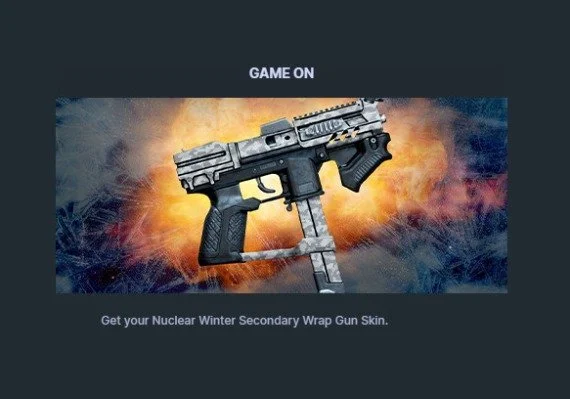 Rogue Company - Nuclear Winter Secondary Wrap Gun Skin DLC CD Key 0.32 $