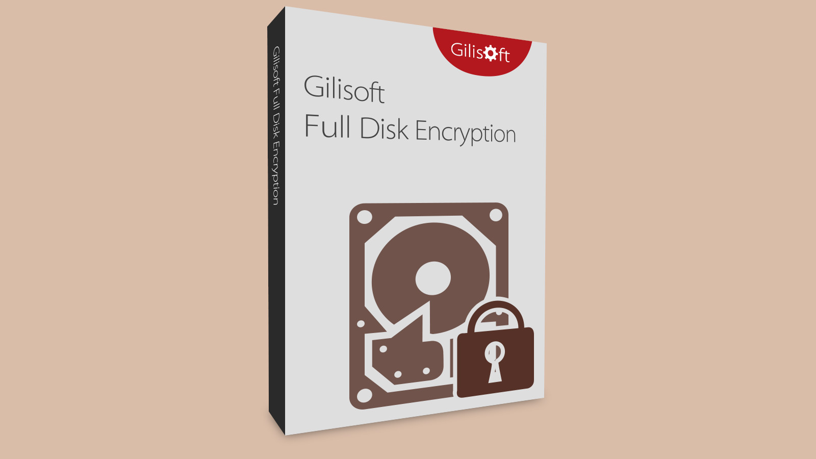 Gilisoft Full Disk Encryption CD Key 19.72 $