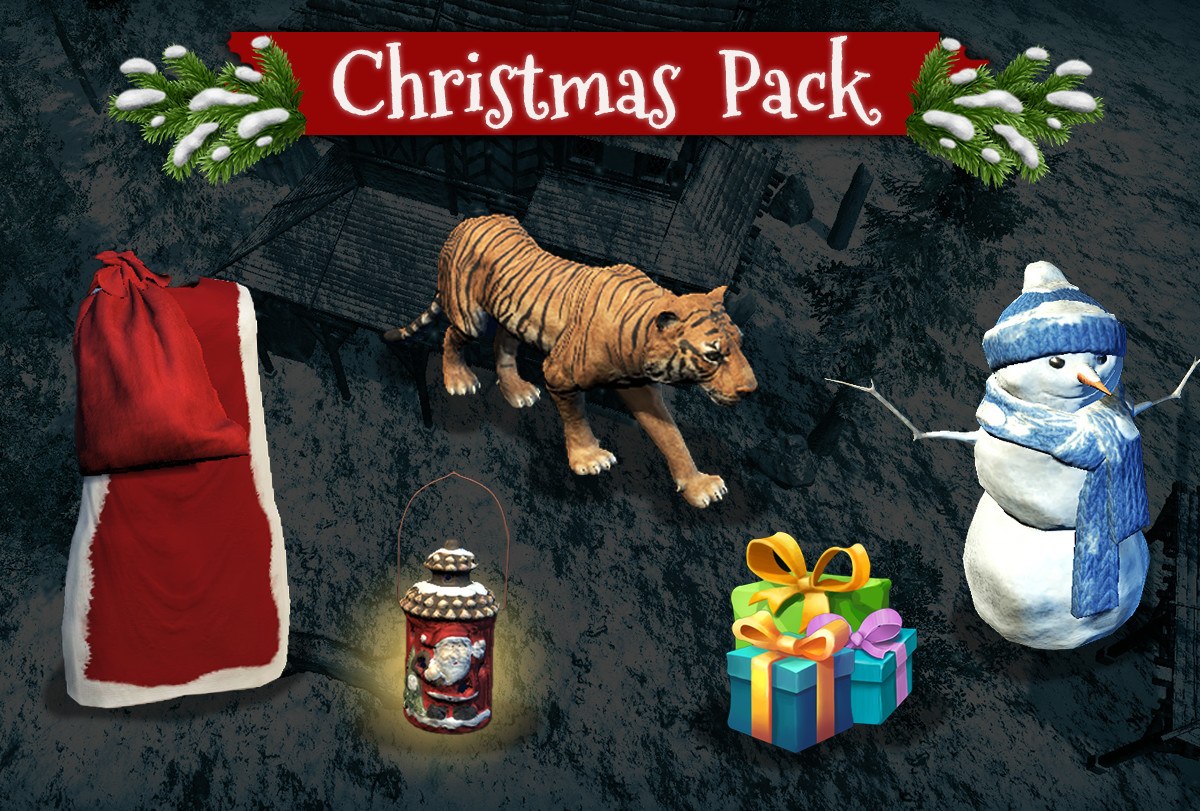 Wild Terra 2: New Lands - Christmas Pack DLC CD Key 19.2 $