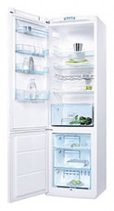 Electrolux ERB 40402 W Tủ lạnh ảnh
