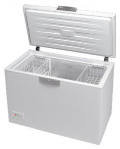 BEKO HSA 40550 Refrigerator larawan