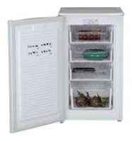 WEST FR-1001 Холодильник Фото