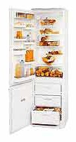 ATLANT МХМ 1733-01 Холодильник Фото