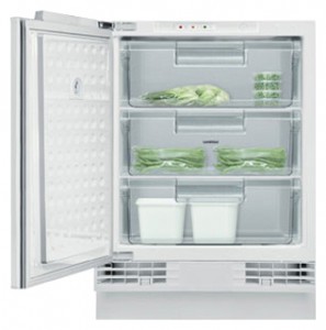 Gaggenau RF 200-200 Холодильник Фото