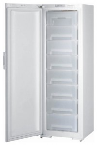 Gorenje F 61300 W Refrigerator larawan