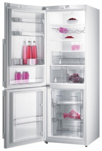 Gorenje RK 65 SYA Холодильник Фото