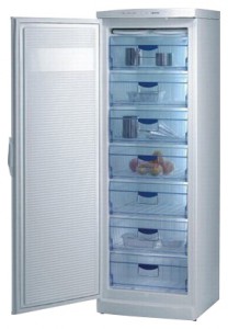 Gorenje F 6313 Tủ lạnh ảnh