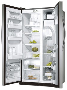 Electrolux ERL 6296 XX Refrigerator larawan