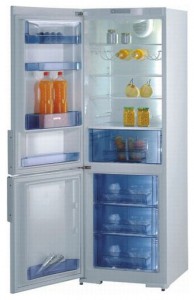 Gorenje RK 61341 W Refrigerator larawan