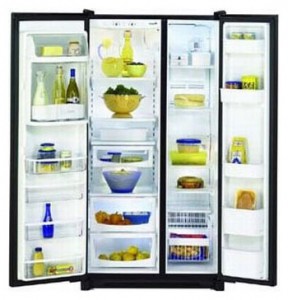 Amana AC 2224 PEK BI Refrigerator larawan