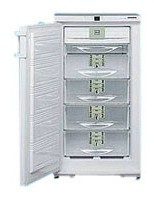 Liebherr GSNP 2026 Refrigerator larawan