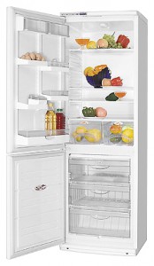 ATLANT ХМ 6019-027 Tủ lạnh ảnh