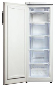 Delfa DRF-144FN Refrigerator larawan
