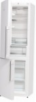 Gorenje RK 61 FSY2W Lemari es