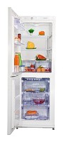 Snaige RF30SM-S10001 Refrigerator larawan