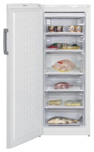 BEKO FS 225300 Refrigerator larawan