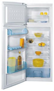 BEKO DSA 25010 Холодильник фото